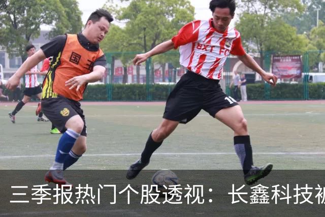 三季报热门个股透视：长鑫科技被多只基金顶格买入，中际旭创、东山精密调仓现分歧