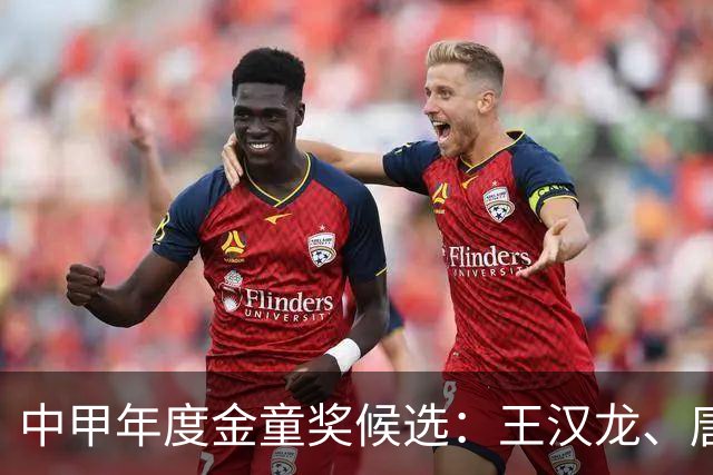 中甲年度金童奖候选：王汉龙、唐瑞、苏宇亮、肇宸惟等入选