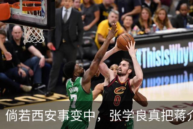 倘若西安事变中，张学良真把蒋介石枪决了，1936年的中国恐怕连1937年都撑不过去