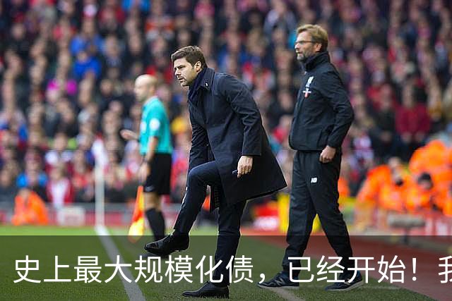 史上最大规模化债，已经开始！我们坚持了30年的信仰，进入倒计时