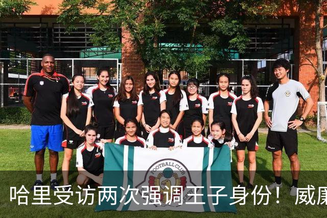 哈里受访两次强调王子身份！威廉被问称呼，却只说怎么合适怎么来