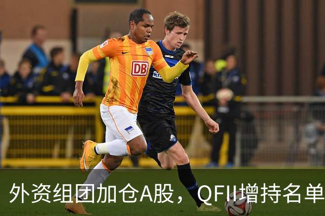 外资组团加仓A股，QFII增持名单曝光