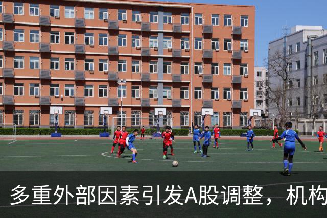 多重外部因素引发A股调整，机构热议：基本面支撑中长期配置价值