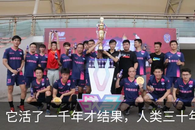 它活了一千年才结果，人类三十年砍光，消失的秘密至今无人能解
