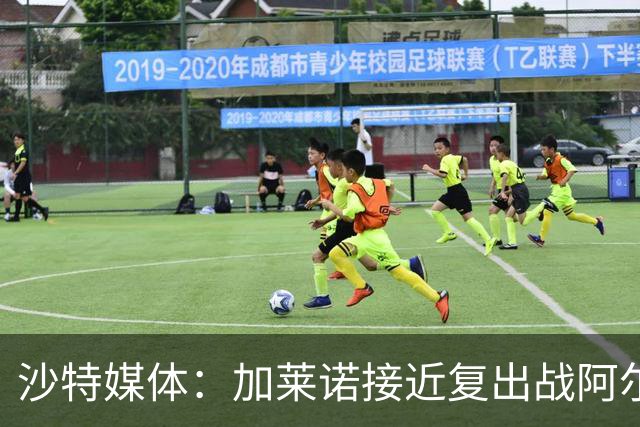 沙特媒体：加莱诺接近复出战阿尔沙巴布