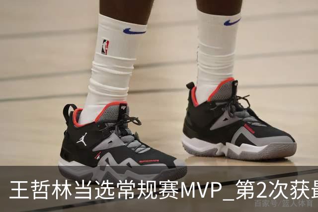 王哲林当选常规赛MVP 第2次获最有价值球员奖