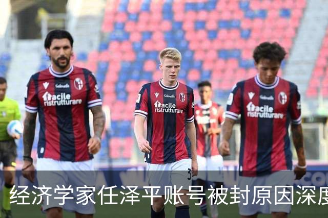 经济学家任泽平账号被封原因深度分析