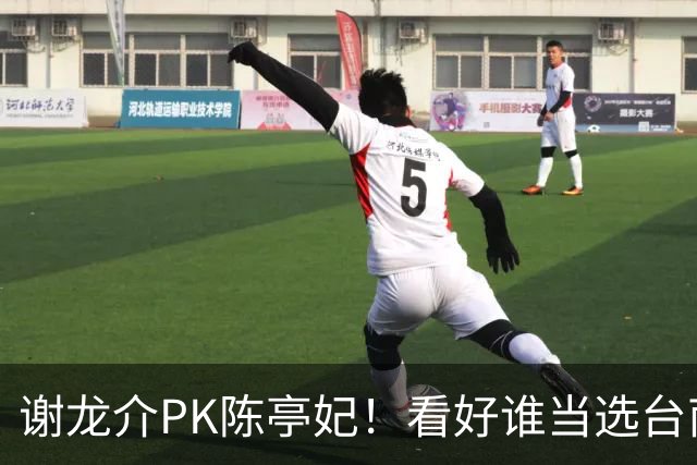谢龙介PK陈亭妃！看好谁当选台南市长？网络投票结果超意外