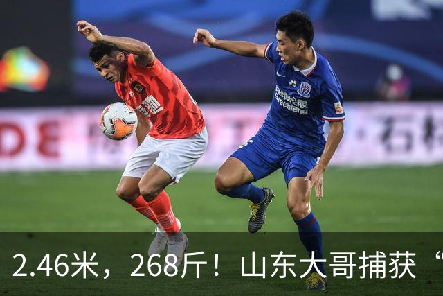2.46米，268斤！山东大哥捕获“鲅鱼王”：常见鲅鱼仅几斤到十几斤，已被水产公司收购，将做成鲅鱼水饺